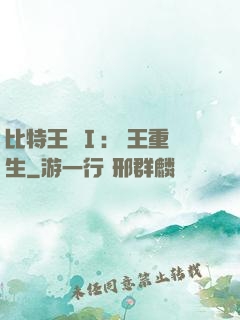 比特王國Ⅰ: 國王重生